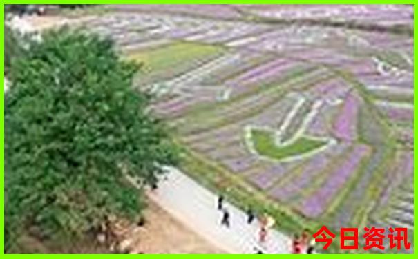 平阴旅游景点大全排名