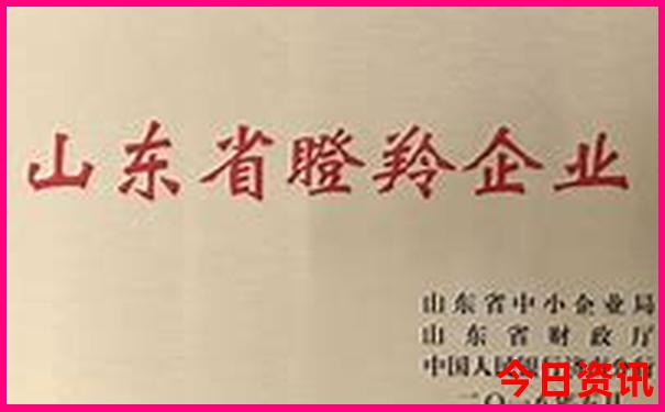深圳炎热夏天适合玩的地方